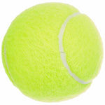 Palline da Tennis Dunlop 601316 Giallo