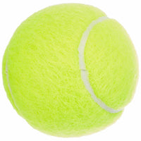 Palline da Tennis Dunlop 601316 Giallo