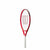 Racchetta da Tennis Wilson Roger Federer 23 Multicolore