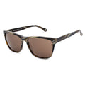 Occhiali da sole Uomo Hackett HSB84917355 Marrone (ø 55 mm)