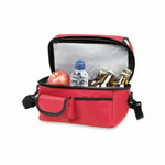 Borsa Frigo 144364 (20 Unità)