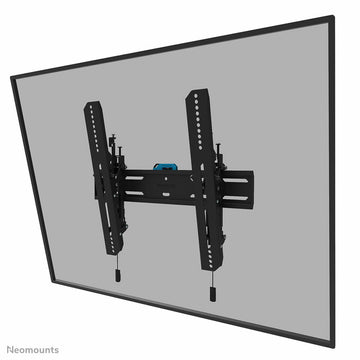 TV Halterung Neomounts WL35S-850BL14 32-65"