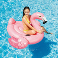 Figura Gonfiabile per Piscina Intex 57558NP