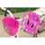 Casco da Ciclismo per Bambini The Paw Patrol CZ10541 M Rosa