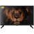 Fernseher NEVIR 7710 32"