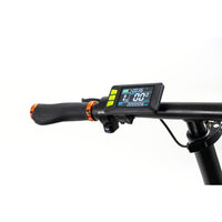 Bicicletta Elettrica Youin 250W 25 km/h Arancio