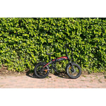 Bicicletta Elettrica Youin BK1400R DAKAR Rosso Nero 20" 250 W 25 km/h