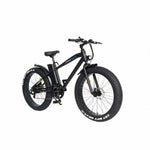 Bicicletta Elettrica Skate Flash Sk Urban Fat 26" 250W